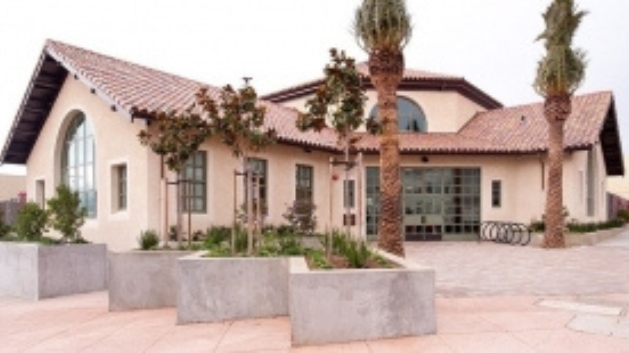 Outside photo of Visitacion Valley Branch Library with palms trees.